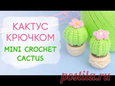 Цветущий кактус крючком | Crochet Cactus Free Pattern