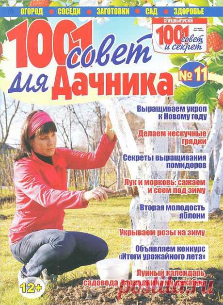 1001 совет для дачника 2013/11.