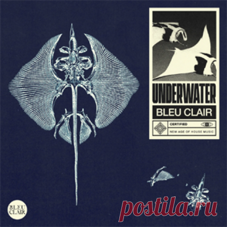 Bleu Clair - Underwater | 4DJsonline.com