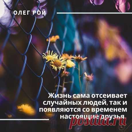 📖 Мысли вслух