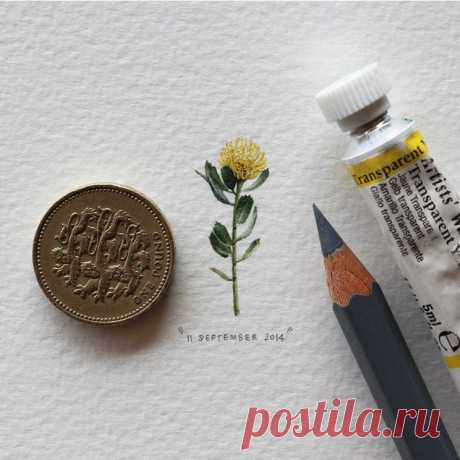 Миниатюрные иллюстрации «Postcards for Ants»