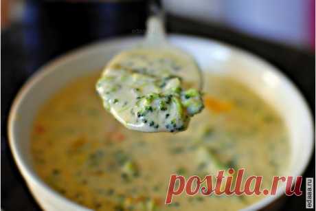 Суп с брокколи и сыром чеддер - фото рецепт приготовления