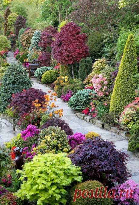 Яркий сад с минимальным уходом. | Загородные идеи | Яндекс Дзен