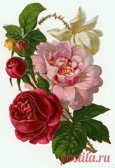 Vintage scrap roses | My Botanical Paper Garden