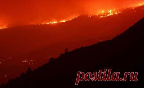 Власти назвали причину продолжающегося почти неделю пожара на Тенерифе. Природный пожар на испанском острове начался в прошлый вторник, уже сгорели более 11 тыс. га леса. Расследование подтвердило, что причиной возгорания был поджог