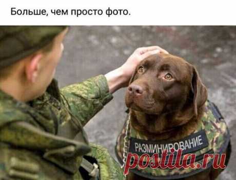 Нет слов....благодарность....