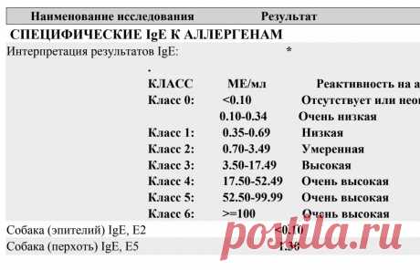 аллергия...что такое НОрмы по классам-36-1qG-lqG4: 960 изображений найдено в Яндекс Картинках