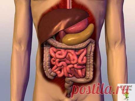ЧИСТКА КИШЕЧНИКА !!!  **Генеральная уборка организма нужно начинать с пищев/тракта. 12 рецептов.