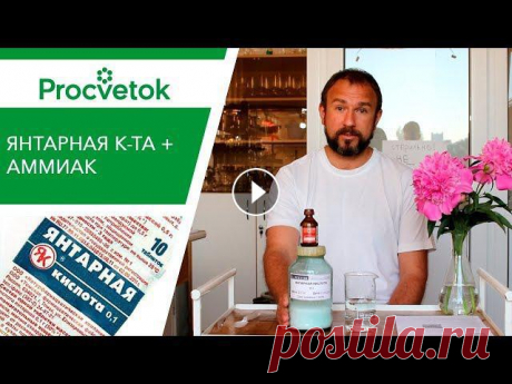 Янтарная кислота для подкормки растений. Готовим усиленный раствор! ✿Приобретая растения в магазинах Procvetok вы помогаете развитию канала!✔Россия: ✔Украина: ✔Задать вопрос, прочитать статью, поделиться фотографиями в...