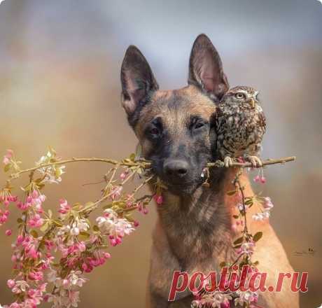 Какие красавчики!