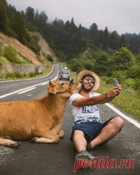 @Regrann from @tourpelomundo - Da série que eu amo, com animais... já pensou em ter um selfie assim? 😂😆📸 ㅤ 📷 @dr.iyasar ㅤ #tourpelomundo…