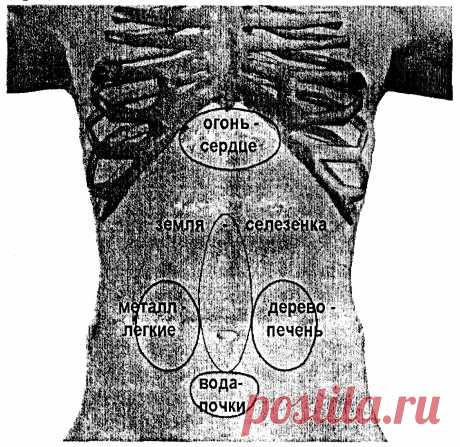 Диагностика особых каналов 1 | ACUPUNCTURU.RU