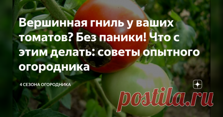 Вершинная гниль у ваших томатов? Без паники! Что с этим делать: советы опытного огородника Понимаю, как обидно наблюдать за гибелью урожая. Ждешь, когда помидорки начнут краснеть, а они гнить начинают. Сама сталкивалась с подобной проблемой. Я расскажу вам о простом способе, который эффективно решит все вопросы с вершинной гнилью, в кратчайшие сроки. Сад и дача. Полезные советы по борьбе с вершинной гнилью томатов.