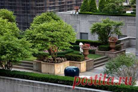 Сады на крышах. Фото | Фотографии красивых интерьеров