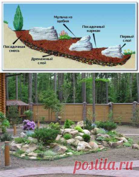 Как сделать альпийскую горку. | Весь Огород. Цветы в саду.