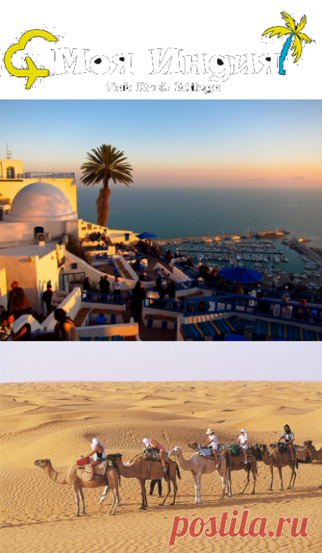 #ОтдыхВТунисе на севере Африки
Отдых в Тунисе становится все более популярным, особенно на фоне того, что египетское направление по-прежнему остается закрытым. Поэтому в последнее время и другие африканские государства начинают привлекать туристов из России и других стран.