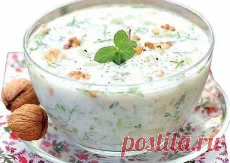 Суп Таратор – 5 классических рецепта по-болгарски (с фото)