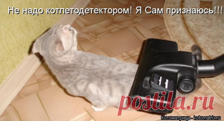 Котоматрица: Не надо котлетодетектором! Я Сам признаюсь!!!!