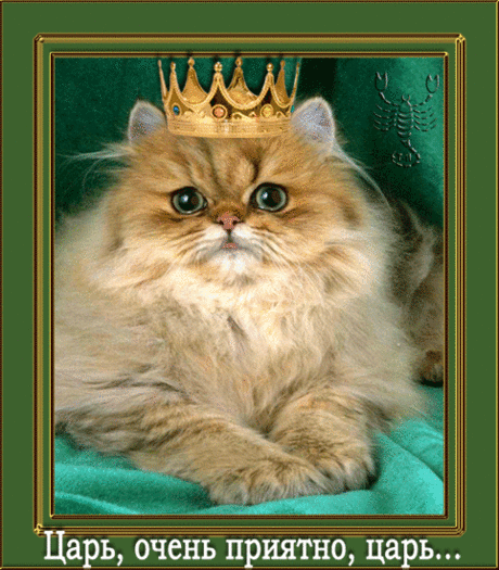Царь…, очень приятно, царь.. - анимационные картинки и gif открытки