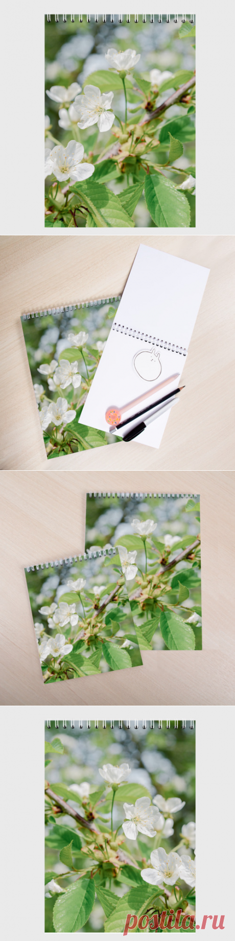 Скетчбук Цветущая ветка вишни, фото - купить по цене 510 руб в интернет-магазине Всемайки, арт 3652995