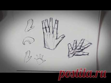 How to Draw Hands | Drawing Tips - YouTube