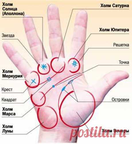 Найдите на ладонях знаки талантов - 7 Июня 2010 - Персональный сайт