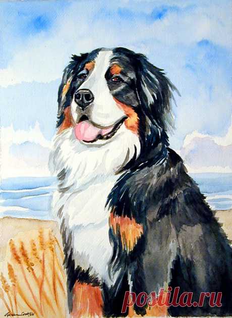 A Summer Day - Bernese Mountain Dog by Lyn Cook A Summer Day - Bernese Mountain Dog Painting by Lyn Cook
