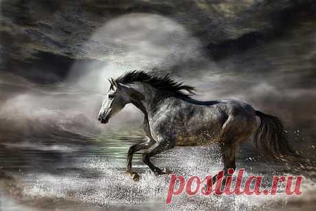 Wild As The Sea Photograph by Carol Cavalaris - Wild As The Sea Fine Art Prints and Posters for Sale