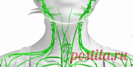 Уникальный рецепт очищения и лечения всей лимфатической системы