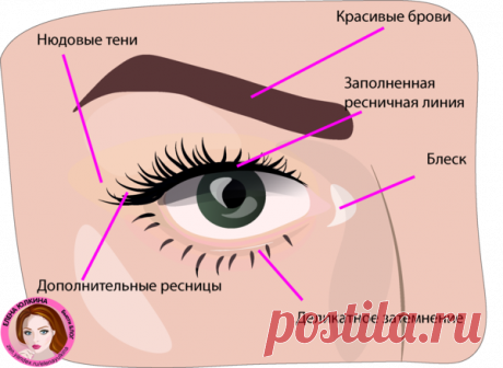 Макияж для нависшего века. Схемы в картинках | Елена Юлкина | Яндекс Дзен