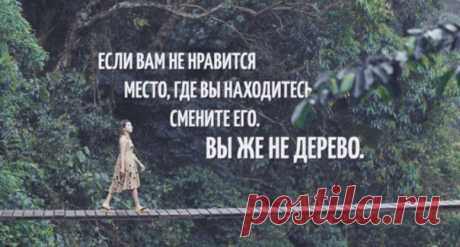 Джим Рон Смотря от чего бежит человек? если от себя, то можно сменить хоть миллион мест, но от сябя и своих мыслей не укроешься нигде! Не всегда можно поменять что-то лишь из-за своего желания
h-5593.jpg (604×324)