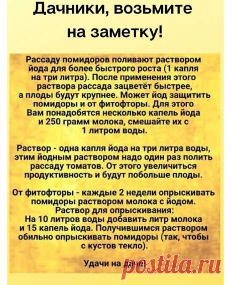 Публикация Садовая фея-дача, сад, огород в профиле Instagram: "Полезные советы." 3,903 отметок «Нравится», 44 комментариев — Садовая фея-дача, сад, огород (@sadovaja_feya) в Instagram: «Полезные советы.»