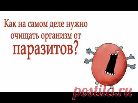 Как на самом деле избавиться от паразитов? Смотреть обязательно! 

Натуральные средства из Европы, о которых говорит специалист в этом видео Вы найдете на этом сайте https://www.sokolinskycenter.com/kupit_v_Europe/