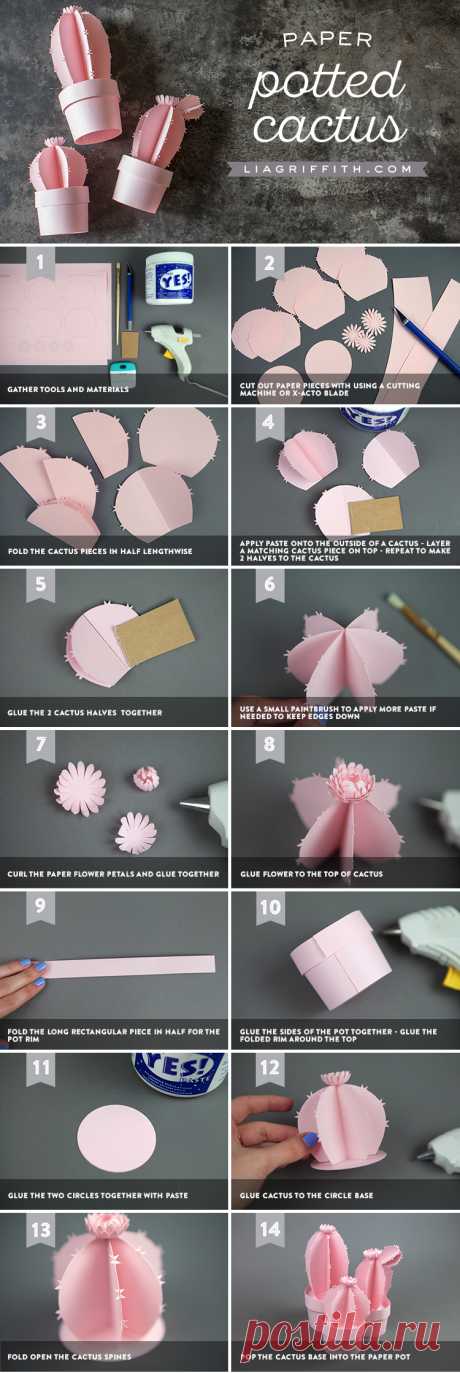 3D Potted Paper Cactus - Lia Griffith