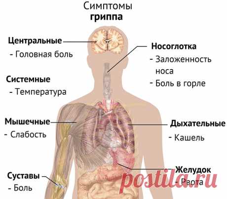 Как отличить грипп от простуды?