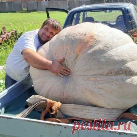 Фермер Армен Кулахсзян из Тбилисского района Краснодарского края вырастил тыкву весом 300 килограммов.