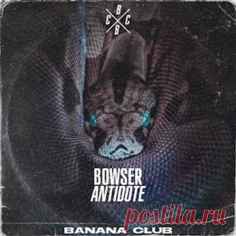 lossless music  : Bowser - Antidote