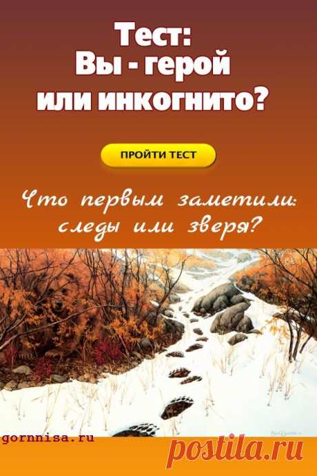 Тест: Вы герой или инкогнито? Что привлекло внимание — следы или зверь? — ГОРНИЦА