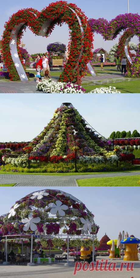 Сад чудес - &quot;Miracle Garden&quot;.