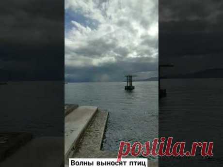 опасный шторм #хорватия