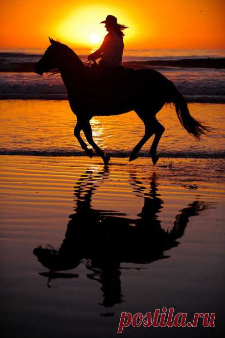 certainly on my bucket list, ride a horse on a beach at sunset :) | Yfafretongele приколол(а) это к доске Couché &amp; levé du soleil / Sunset