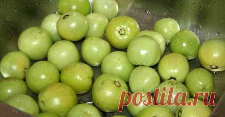 Заготовка зелёных помидоров советским способом | Идеальный огород | Яндекс Дзен