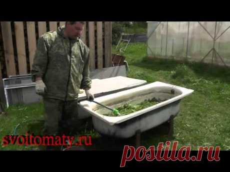 Травяной настой для подкормки растений - YouTube