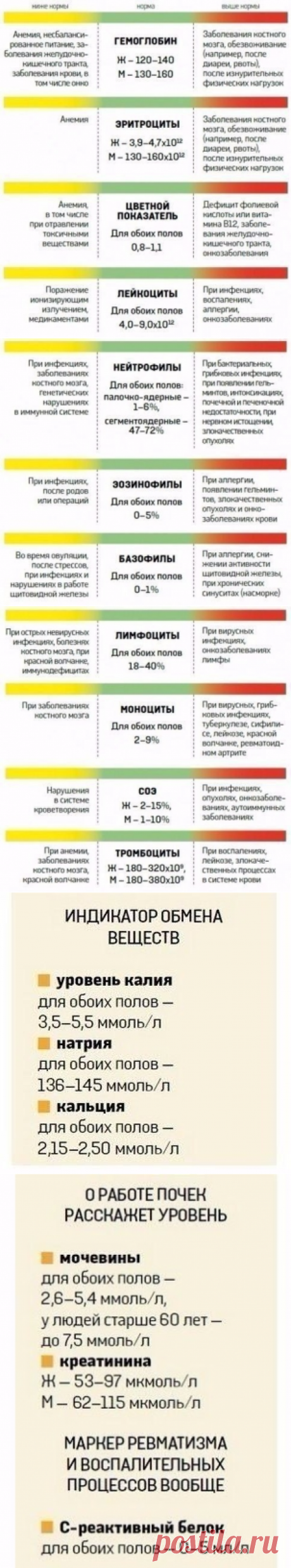 Расшифровка анализов крови