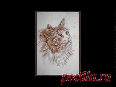 Как научиться рисовать кошку. How to lean to draw a cat.wmv - YouTube
