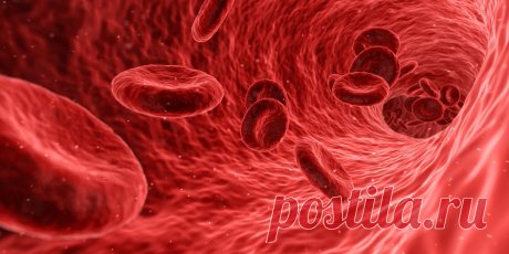Биохимия крови. О чем может рассказать популярный анализ? | Клиника «Нева» | Дзен