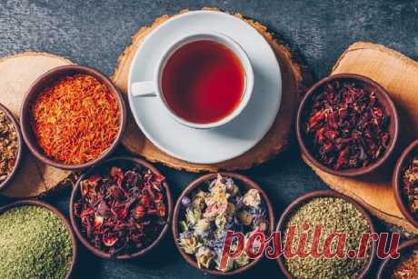 Три сорта чая, которые порадуют вкусом и полезными свойствами