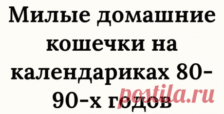 Милые домашние кошечки на календариках 80-90-х годов
Осторожно! Очень много милоты! Мы все в детстве что-то собирали: фантики, пробки, календарики, открытки… У моего супруга скопилась из детства внушительная коллекция карманных календариков. Особенно интересны календарики с животными. Сегодня я решила показать те, где изображены домашние кошечки. В следующих публикация покажу собак, диких...
Читай дальше на сайте. Жми подробнее ➡