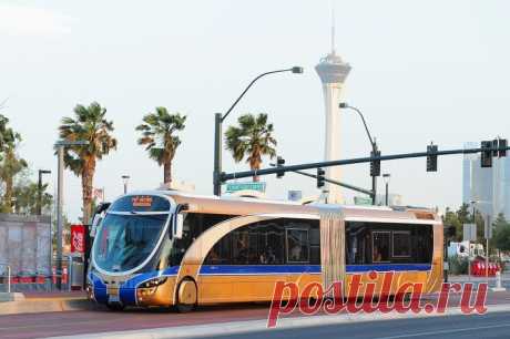 «А это современные автобусы, которые потихоньку вытесняют обычный общественный транспорт Лас Вегаса.» — карточка пользователя lyubov.poklonsckaya в Яндекс.Коллекциях