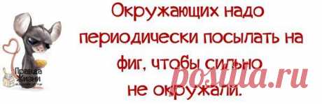 ПРИКОЛЬНЕНЬКО) В КАРТИНКАХ))) | Сайт Союза Юмористов